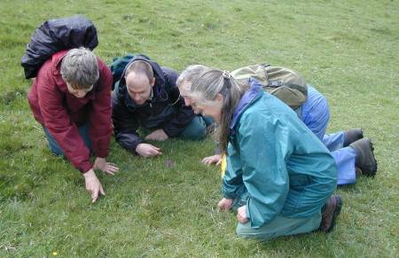 Botanists...